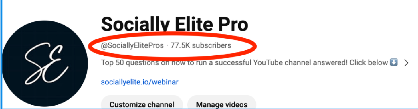 Screenshot from the current subscriber count from Socially Elite Pro's Youtube Channel